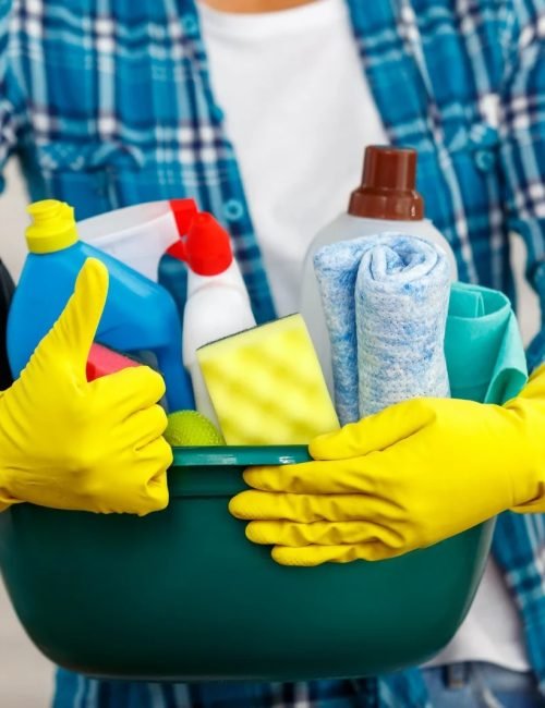 imgi_26_concept-for-home-cleaning-services-2